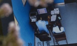 蒙面人爆料视频竖屏高清,揭秘事件背后惊人真相